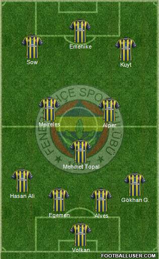 Fenerbahçe SK Formation 2013