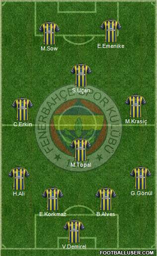 Fenerbahçe SK Formation 2013