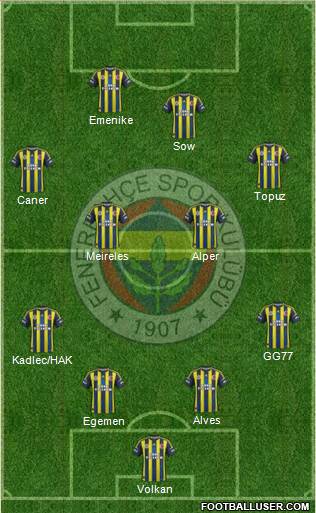 Fenerbahçe SK Formation 2013