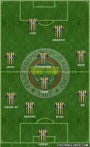 Fenerbahçe SK Formation 2013