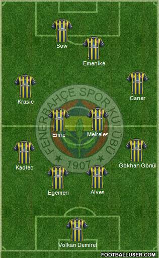 Fenerbahçe SK Formation 2013