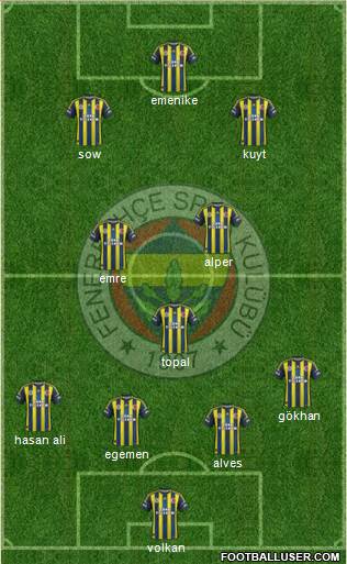 Fenerbahçe SK Formation 2013