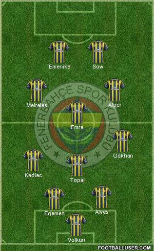 Fenerbahçe SK Formation 2013