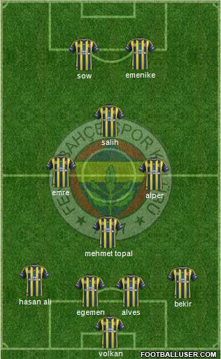 Fenerbahçe SK Formation 2013