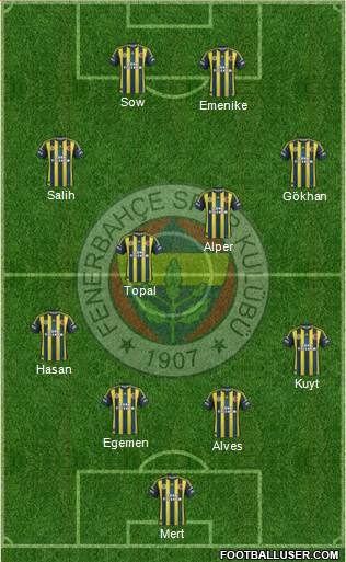 Fenerbahçe SK Formation 2013