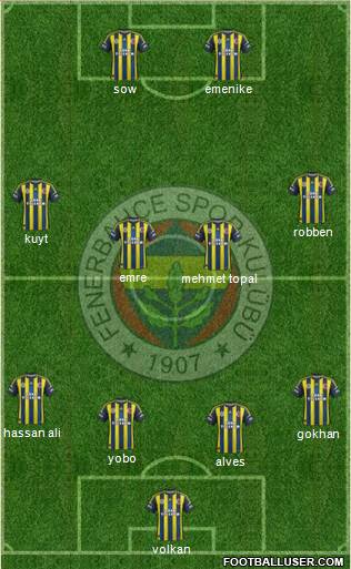 Fenerbahçe SK Formation 2013