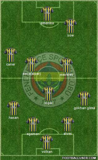 Fenerbahçe SK Formation 2013