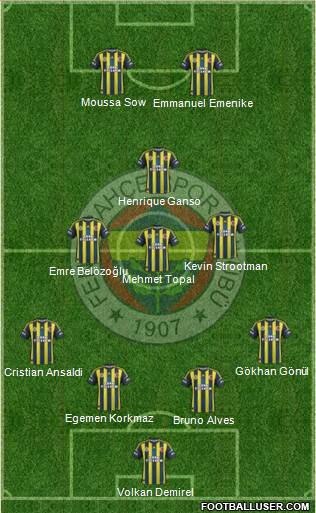 Fenerbahçe SK Formation 2013