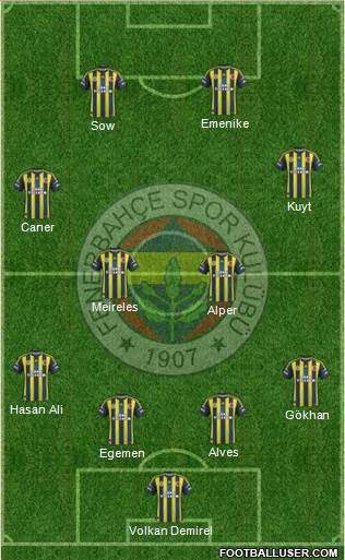 Fenerbahçe SK Formation 2013