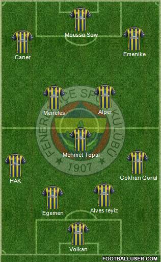 Fenerbahçe SK Formation 2013