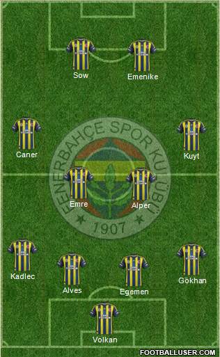 Fenerbahçe SK Formation 2013