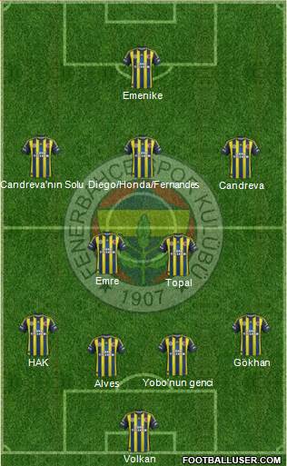 Fenerbahçe SK Formation 2013