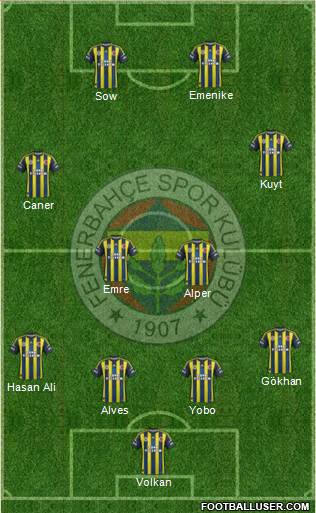 Fenerbahçe SK Formation 2013