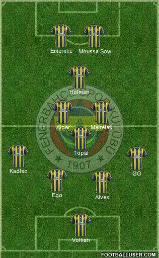 Fenerbahçe SK Formation 2013