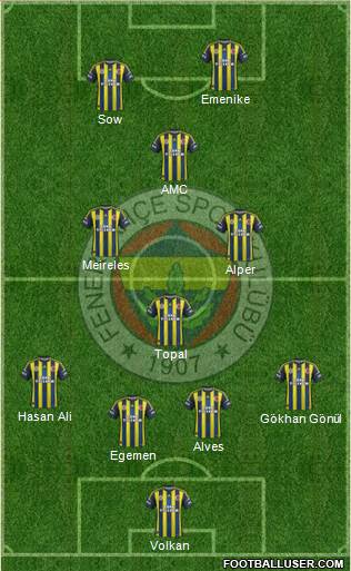 Fenerbahçe SK Formation 2013