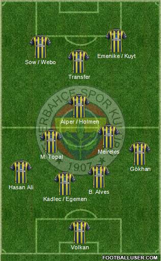 Fenerbahçe SK Formation 2013