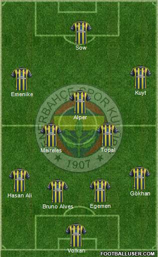 Fenerbahçe SK Formation 2013