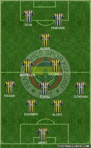 Fenerbahçe SK Formation 2013