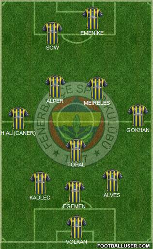 Fenerbahçe SK Formation 2013