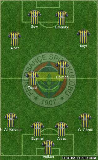 Fenerbahçe SK Formation 2013