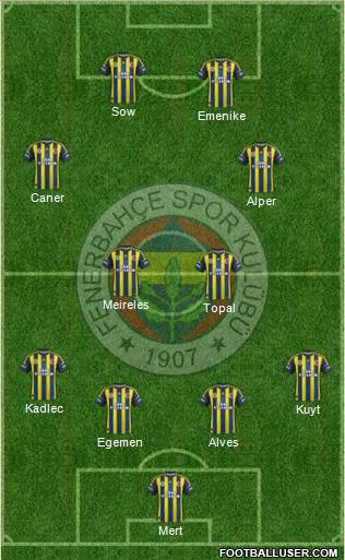 Fenerbahçe SK Formation 2013