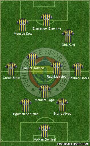 Fenerbahçe SK Formation 2013