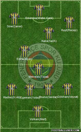 Fenerbahçe SK Formation 2013