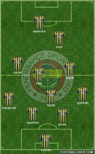 Fenerbahçe SK Formation 2013