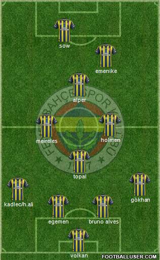 Fenerbahçe SK Formation 2013