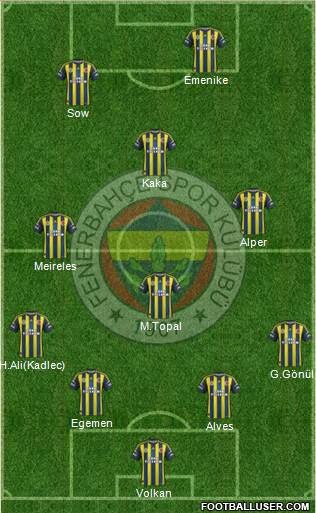 Fenerbahçe SK Formation 2013