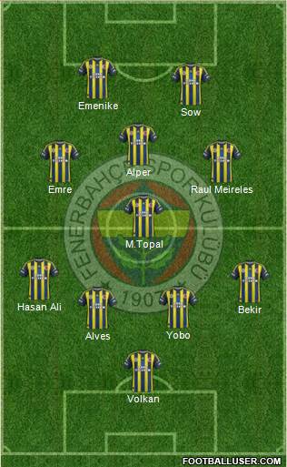 Fenerbahçe SK Formation 2013