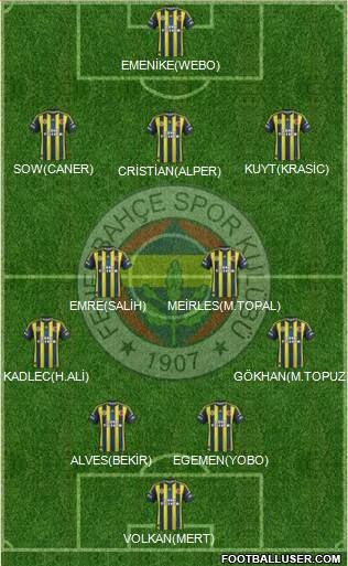 Fenerbahçe SK Formation 2013