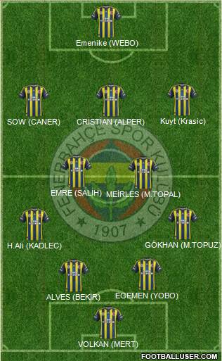 Fenerbahçe SK Formation 2013