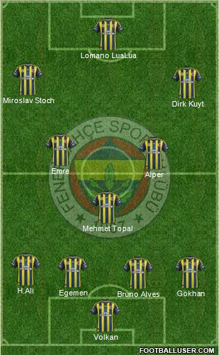 Fenerbahçe SK Formation 2013