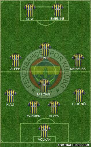 Fenerbahçe SK Formation 2013