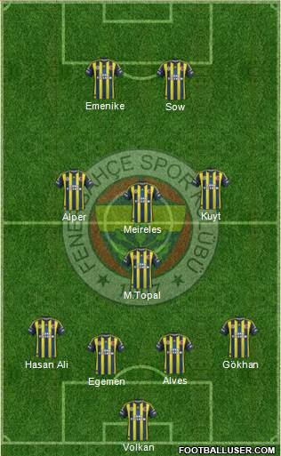 Fenerbahçe SK Formation 2013