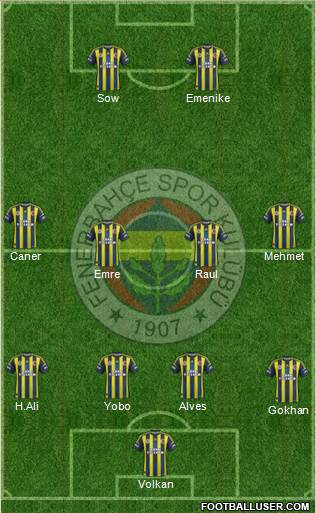 Fenerbahçe SK Formation 2013