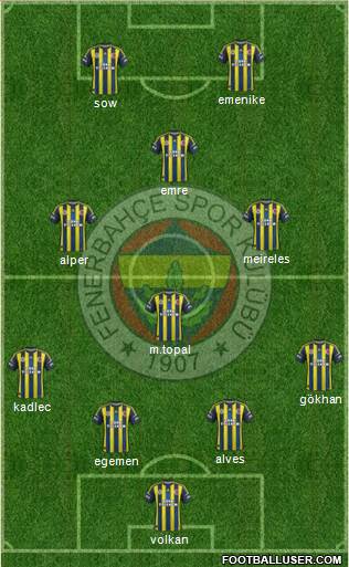 Fenerbahçe SK Formation 2013