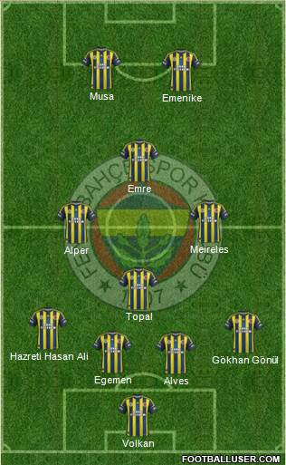 Fenerbahçe SK Formation 2013