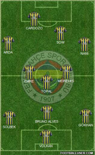 Fenerbahçe SK Formation 2013