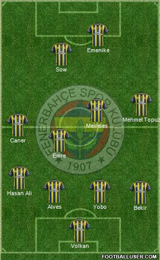 Fenerbahçe SK Formation 2013