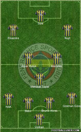 Fenerbahçe SK Formation 2013