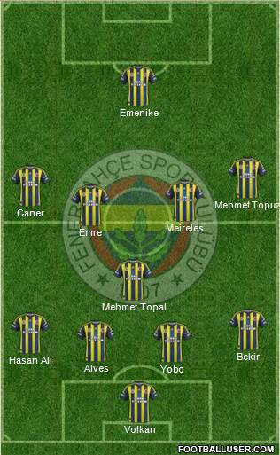 Fenerbahçe SK Formation 2013