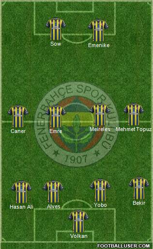 Fenerbahçe SK Formation 2013