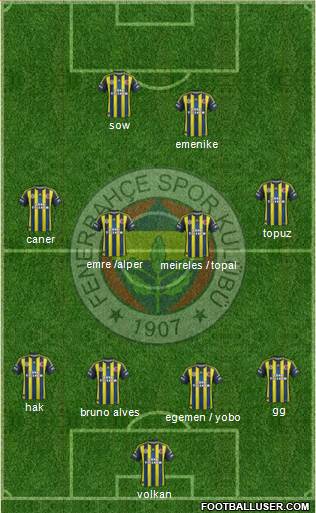 Fenerbahçe SK Formation 2013