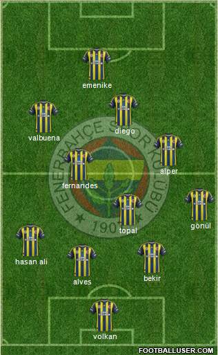 Fenerbahçe SK Formation 2013