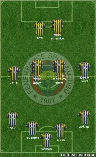 Fenerbahçe SK Formation 2013