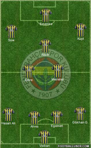 Fenerbahçe SK Formation 2013