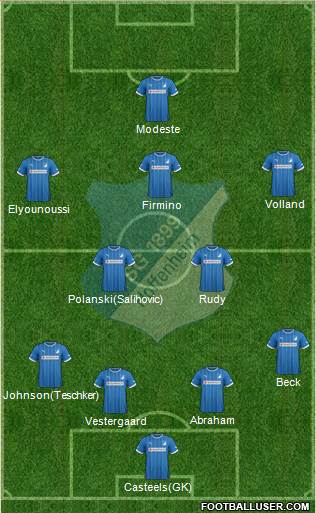 TSG 1899 Hoffenheim Formation 2013