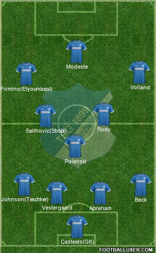 TSG 1899 Hoffenheim Formation 2013